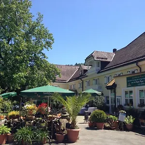 Koller Ringelai